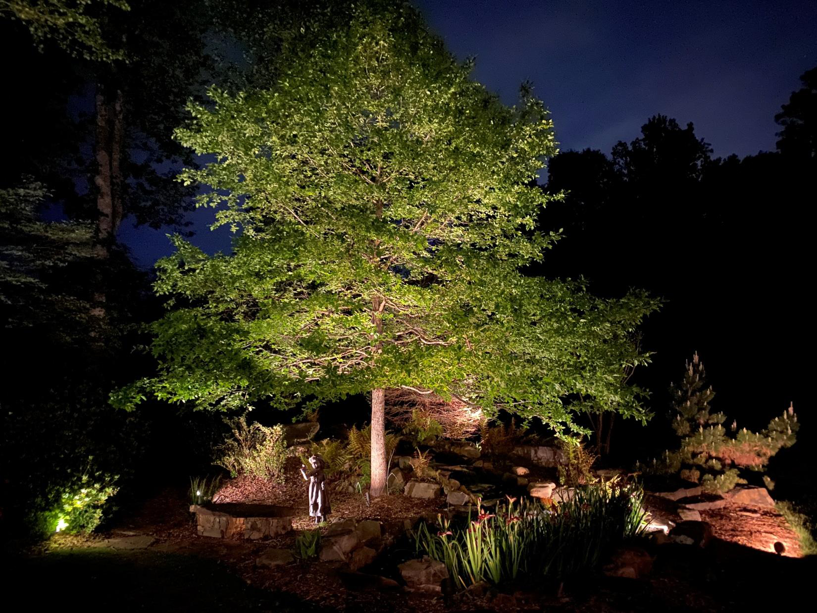 Tree Uplighting