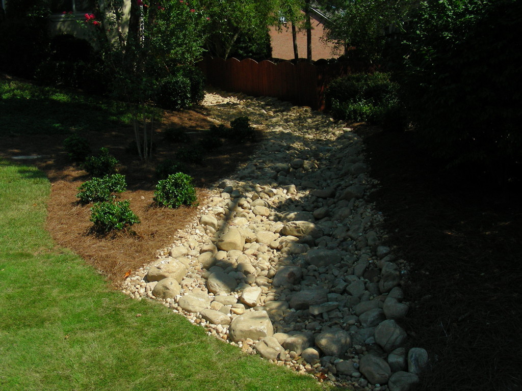 Native Plant Restoration