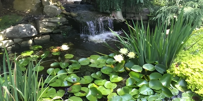 Water Features & Waterfalls